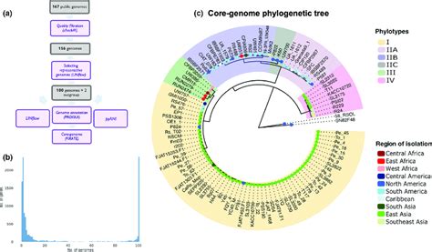 Core Genome Analysis For The Representative Genomes Of The RSSC A