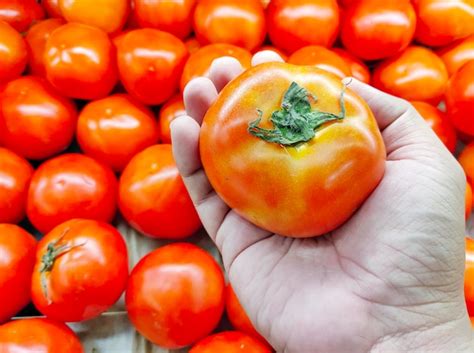 Premium Photo Close Up Of Hand Holding Tomatoes