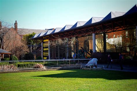 Summer Visitors To Hull Museums And Art Gallery At Highest Level Since