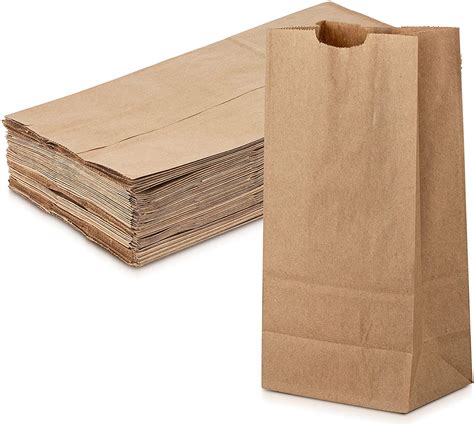 MT Products Disposable Brown Grocery Paper Lunch Bags 100 Pieces