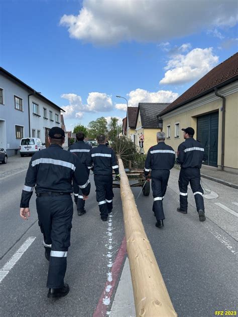 30 04 2023 MAIBAUM AUFSTELLEN Freiwillige Feuerwehr Zeiselmauer