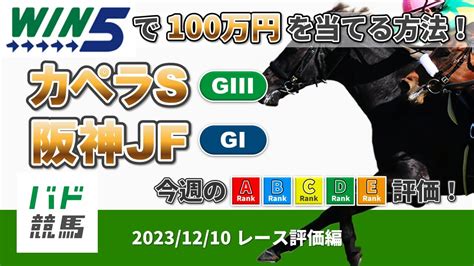 【win5で100万円：レース評価編】 2023年12月10日（日）カペラs・阪神jf 【競馬】 Youtube