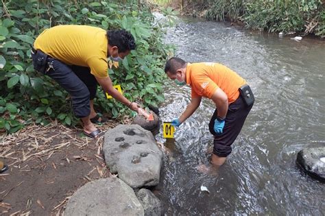 Mengapung Di Sungai Mayat Bayi Perempuan Di Mojokerto Diduga Hasil