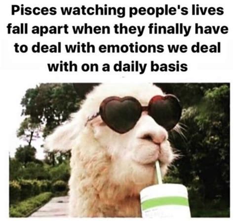 52 Best Pisces Memes That Describe This Zodiac Sign Artofit