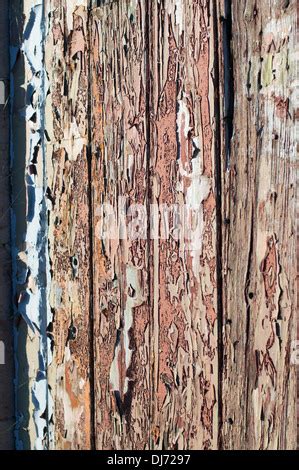 Old Peeling Flaking Paint On Zinc Coated Galvanized Metal Panel Stock