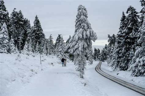 Im Winter Von Schierke Zum Brocken Wandern Fotografieren Bei C