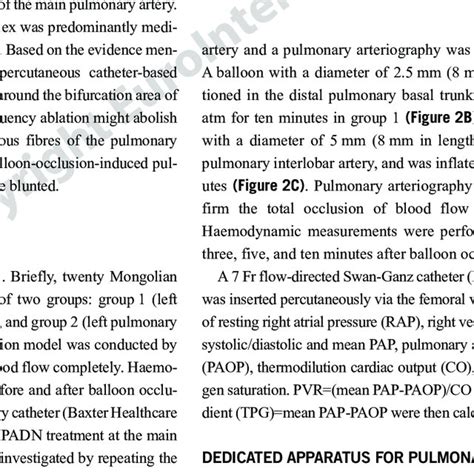 Study Design Padn Percutaneous Pulmonary Artery Denervation