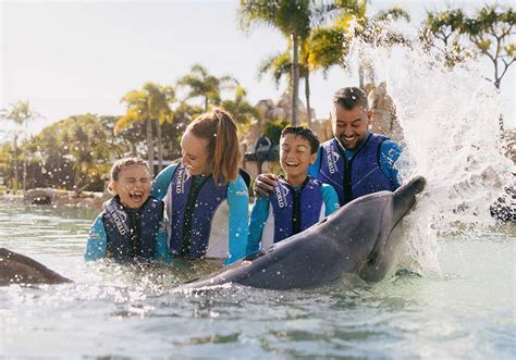 Sea World Gold Coast - Australia's #1 Marine Park