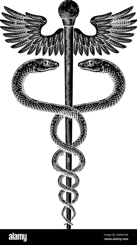 Snake Medical Vector Engraving Hi Res Stock Photography And Images Alamy