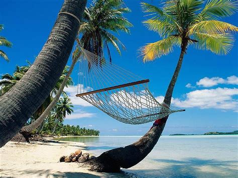 Hammock On Tropical Beach Beaches Sky Nature Hammock Palm Trees Hd