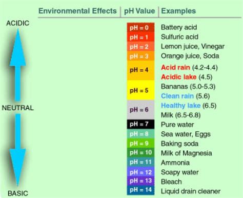 Ph Sensor Arduino How Do Ph Sensors Work Application And Calibration