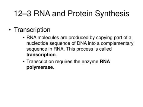 Chapter 12 Dna And Rna Ppt Download