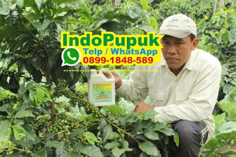 Jenis Pupuk Pada Tanaman Kelapa Sawit Jenis Pupuk Kelapa Sawit Dosis