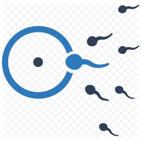 Human Sperm Icon Download In Colored Outline Style