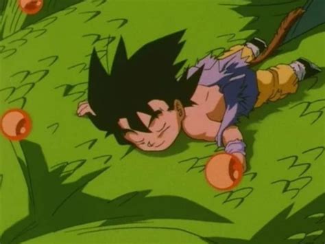 Where Did Goku Go With Shenron At The End Of Dragon Ball Gt