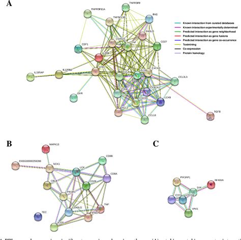 Figure 4 From Comprehensive Transcriptomic Comparison Between Porcine