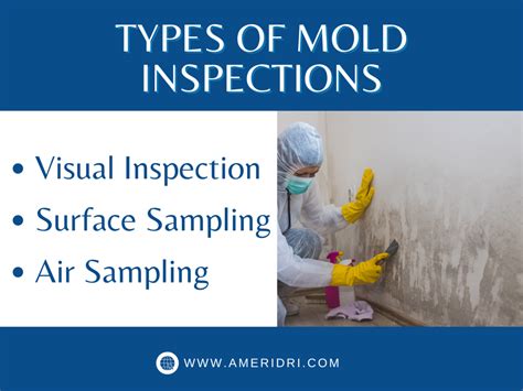 Mold Inspection Guide Safeguard Your Home And Health Ameridri Water And Mold Damage