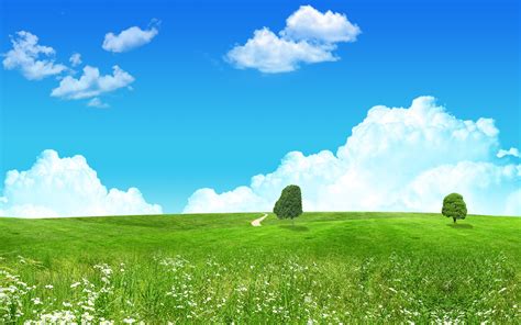 Wallpaper Sunlight Landscape Digital Art Hill Nature Sky Field