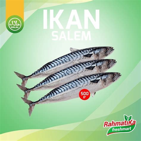 Jual Ikan Salem Segar Ikan Salem Iqf Premium Fresh Gr Shopee