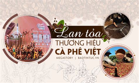 Lan T A Th Ng Hi U C Ph Vi T Baotintuc Vn