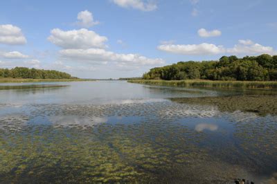 Lac De Madine Et Tangs De Pannes Dreal Grand Est