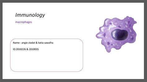 Solution Immunology Project Studypool