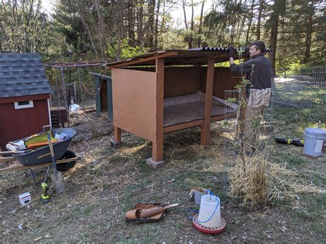 Building A Duck House Diy Tejas Farm