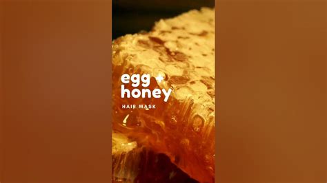 Egg Honey Hair Mask Hairfall Remedy Youtubeshorts Diy Shortsfeed