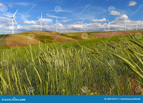 Wind Farm Turbines White On Hill Contrast Green Grass And Blue Sky Usa