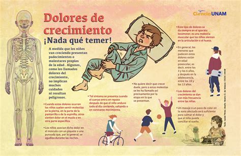 Derribando Mitos De Salud Infografia Salud Infografia Salud Salud