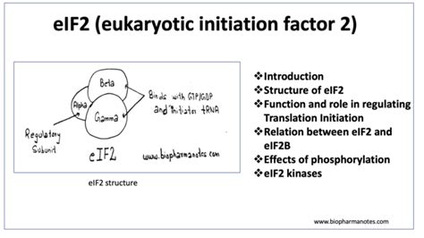 eif eukaryotic initiation factor  biopharma notes