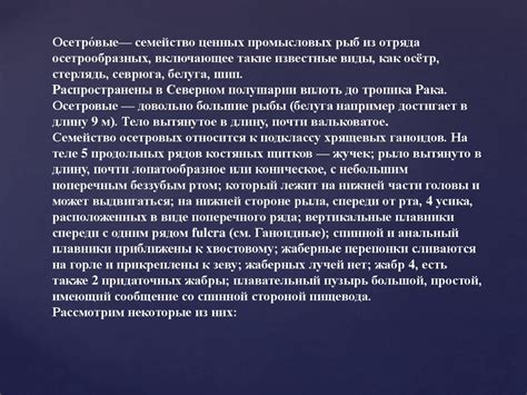 Виды осетровых и их краткое описание - презентация онлайн