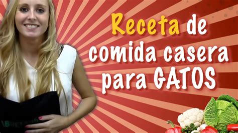 Receta De Comida Casera Para Gatos YouTube