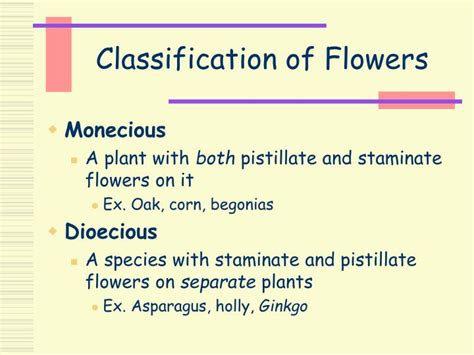 Ppt Flowers Powerpoint Presentation Id17041