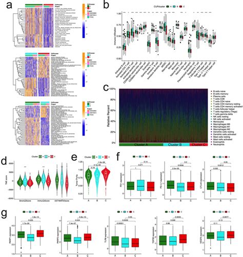 Correlations Of Tme And Biological Characteristics In Three Oc