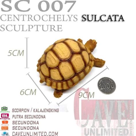 Jual Ready Replika Patung Miniatur Hewan Baby Tortoise Sulcata Kura