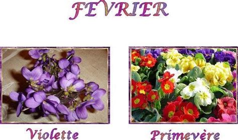 Fleurs selon Mois de Naissance - Février