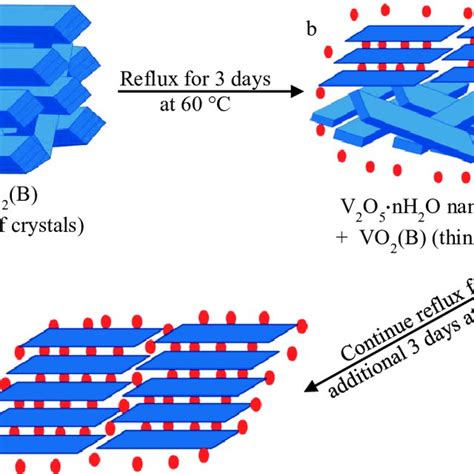 1. Structure model for V2O5·nH2O viewed along the [010] direction ...