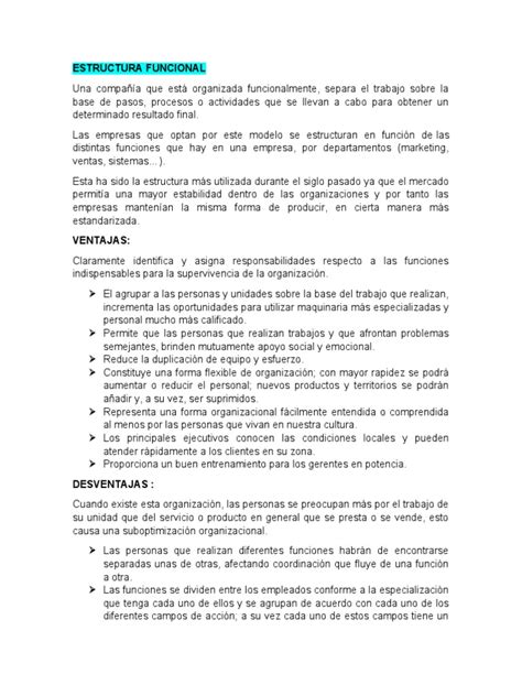 Estructura Funcional Divisional Y Matricial Pdf Marketing Economias