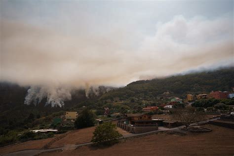 Espa A Tenerife Vive Su Peor Incendio Forestal En A Os