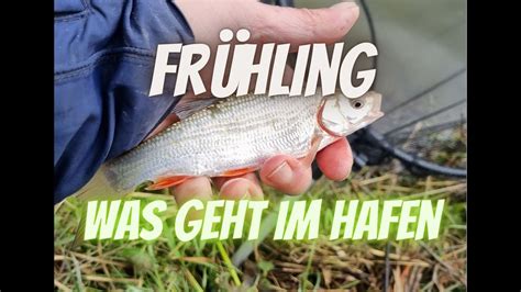 Frühling Was geht im Hafen YouTube