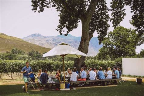 From Cape Town Franschhoek Wine Tram Hop On Hop Off Getyourguide