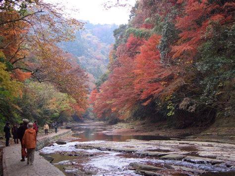 養老渓谷の紅葉 千葉県 【japan 47 Go】