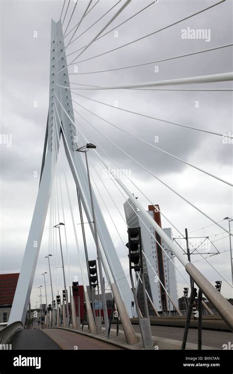 Erasmus Bridge Rotterdam Stock Photo - Alamy