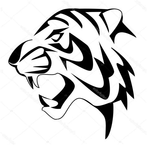 Black And White Tiger Drawing at GetDrawings | Free download