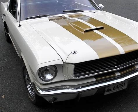 1966 Shelby Mustang GT350H Hertz coupe - ClassicCars.com Journal