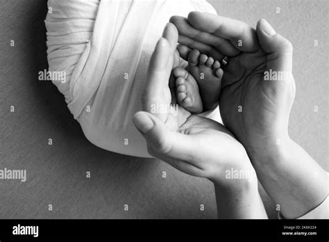 Father And Mother Hold The Legs Of A Newborn Baby Feet Of A Newborn In