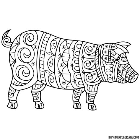 Coloriage De Cochon Mandala Imprimer Coloriage