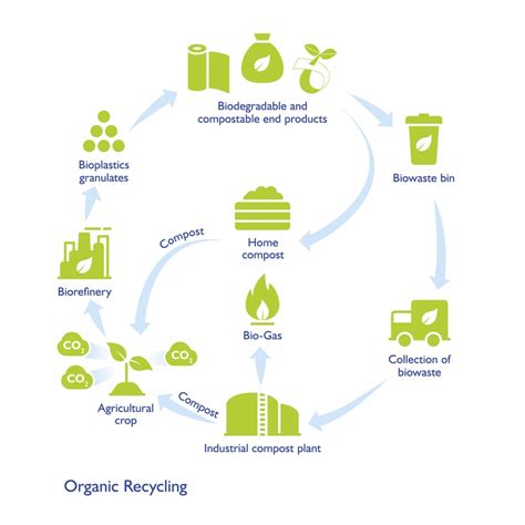 Biobased Plastics Fit Within A Circular Economy And Sustainable Future