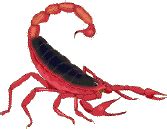 Scorpions at Animated-Gifs.org